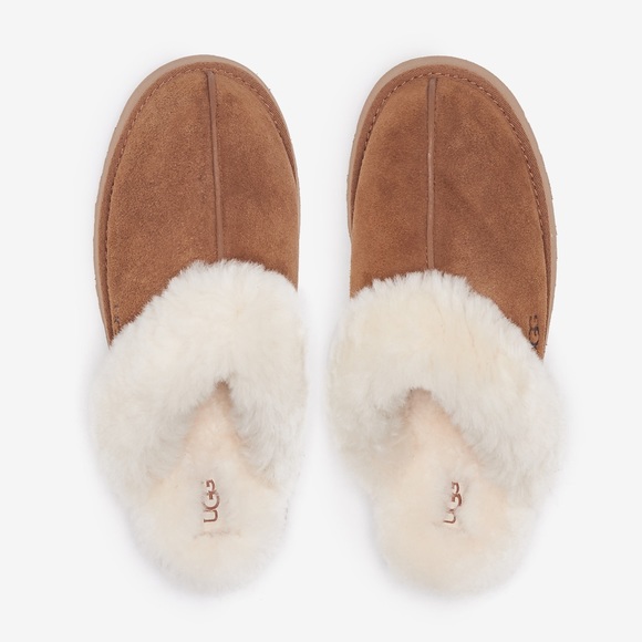 UGG womens slide
Disquette Suede & Shearling Platform Slippers1122550 chestnut - Picture 3 of 13